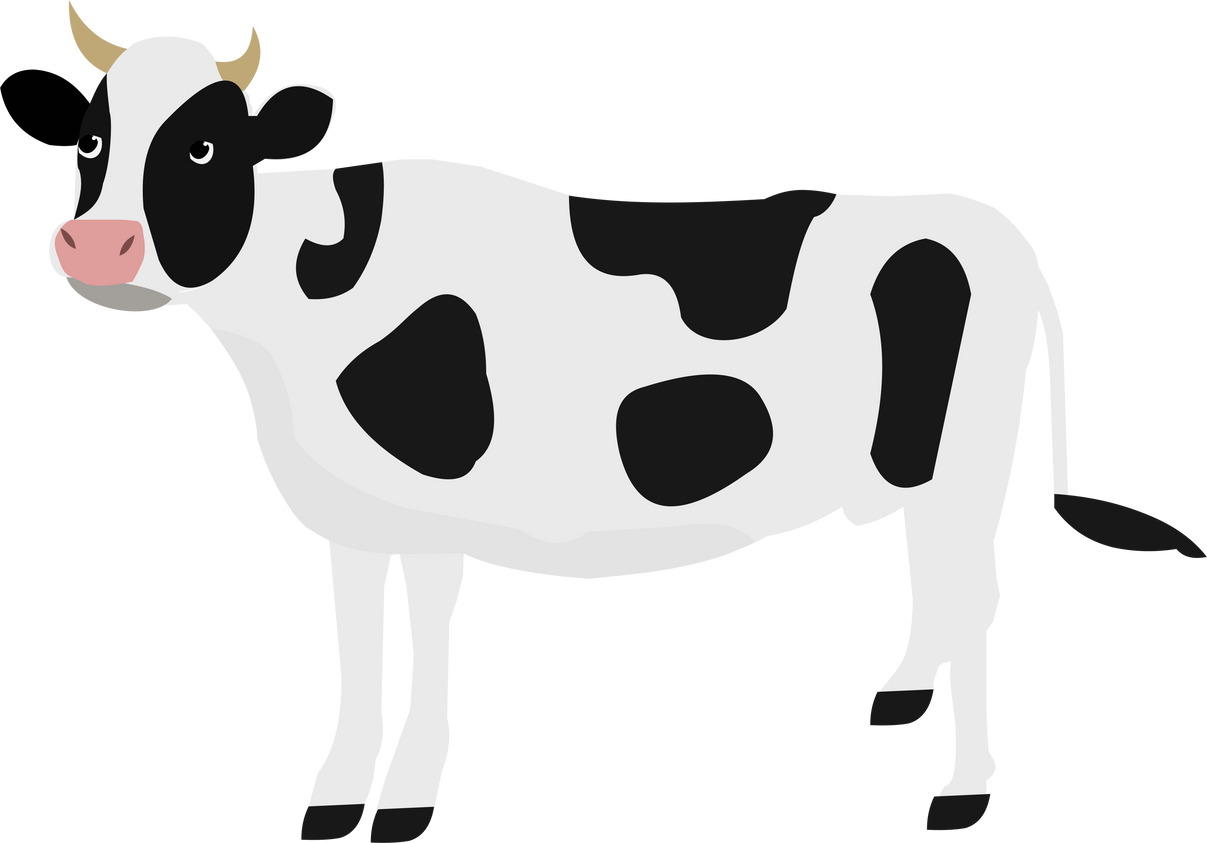 Cow's Milk Illustration